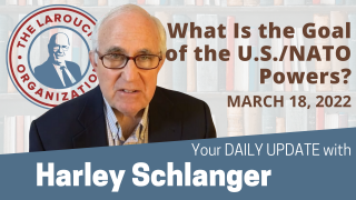 Harley Schlanger Update